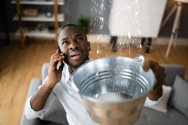 Best Commercial water damage restoration  in Monee, IL