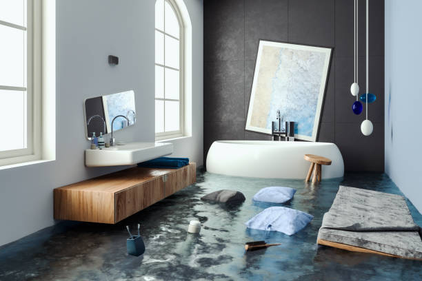 Best Residential water damage restoration  in Monee, IL
