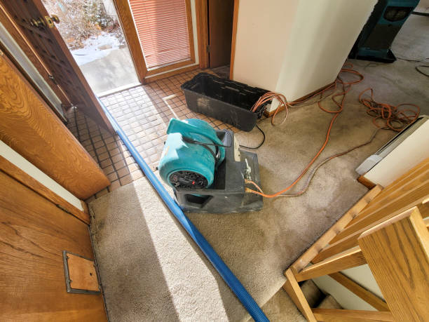 Best Water damage cleanup near me  in Monee, IL