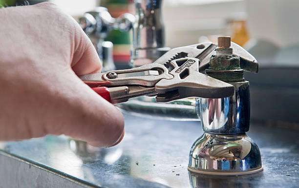 Best Water damage restoration mold remediation  in Monee, IL